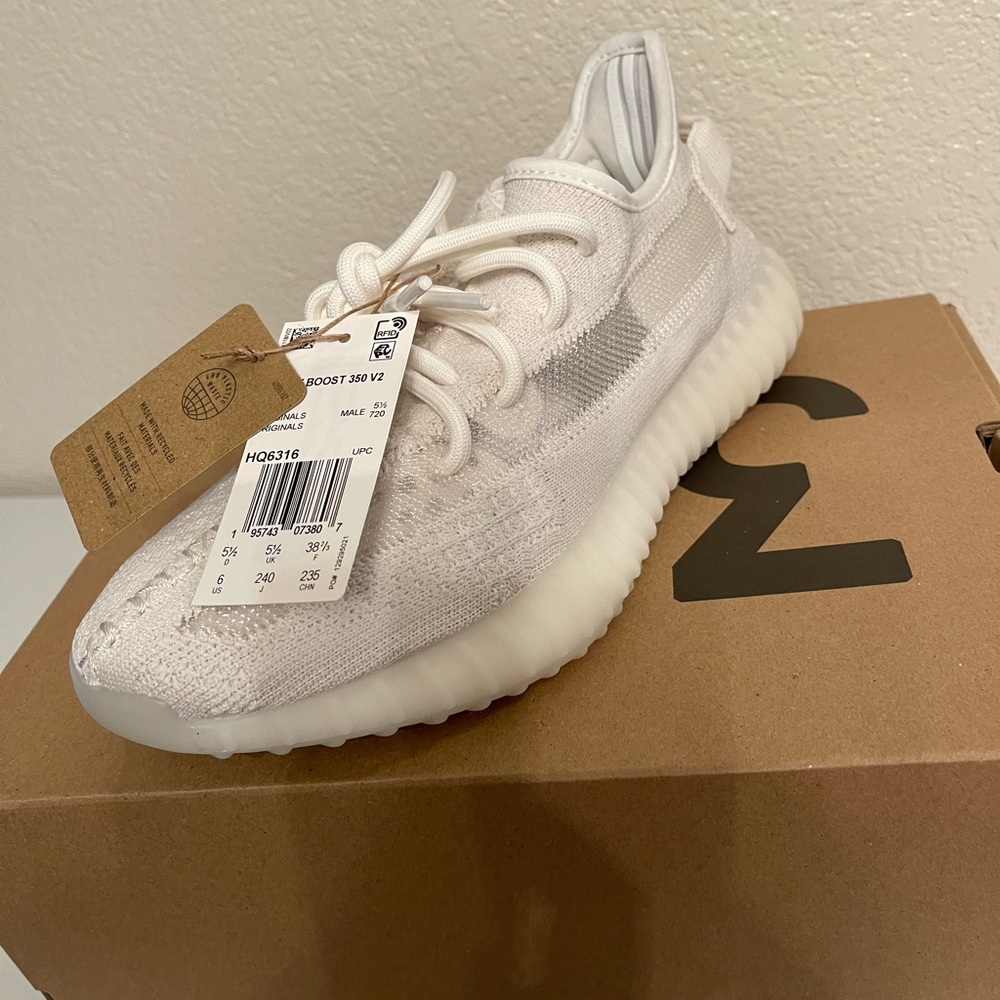 Yeezy boost 350 V2